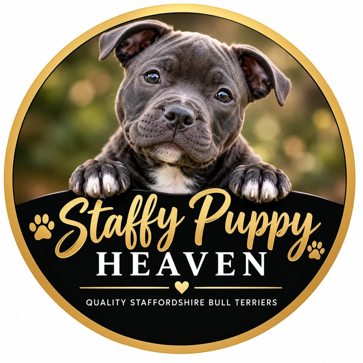 staffpupheaven.com